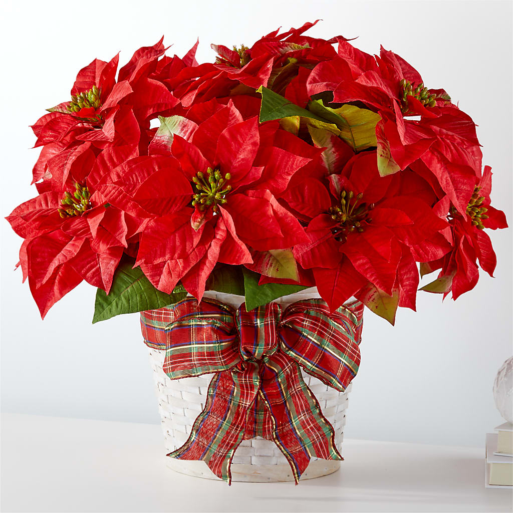 Happiest Holidays Poinsettia – Albelos Flowers Llc, Tampa FL