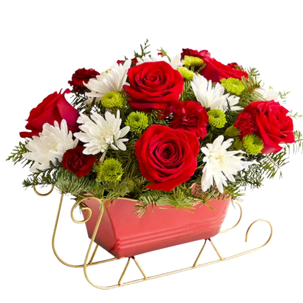 Christmas Snow Sleig – Albelos Flowers Llc, Tampa FL