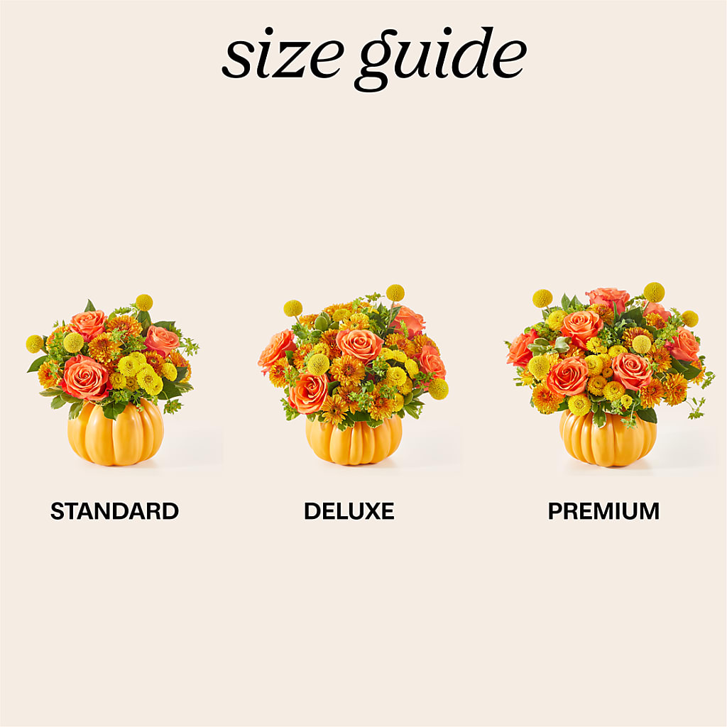 Gourdgeous Pumpkin – Albelos Flowers Llc, Tampa FL