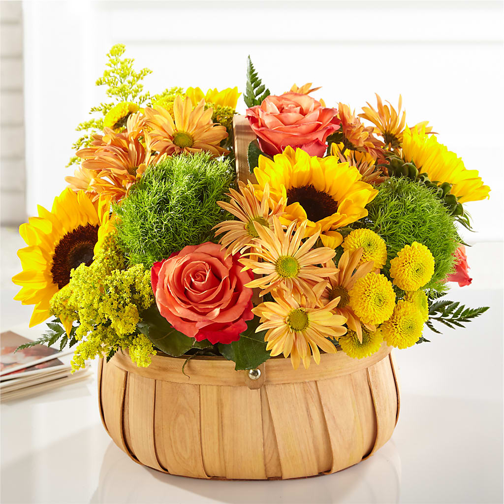 Harvest Sunflower Basket – Albelos Flowers Llc, Tampa FL