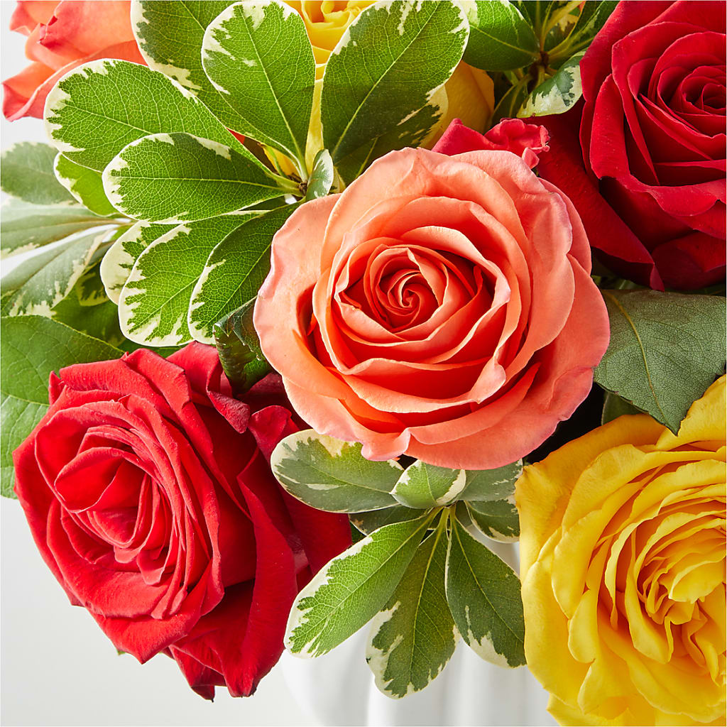 Gourd of Gratitude –  Albelos Flowers Llc, Tampa FL