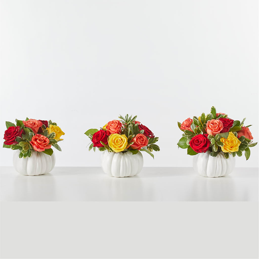 Gourd of Gratitude –  Albelos Flowers Llc, Tampa FL
