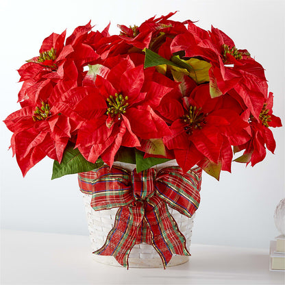 Happiest Holidays Poinsettia –  Albelos Flowers Llc, Tampa FL