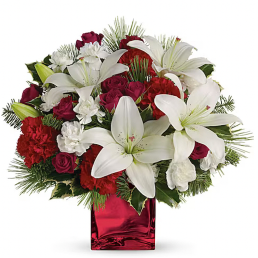 Caroling in the Snow Cube