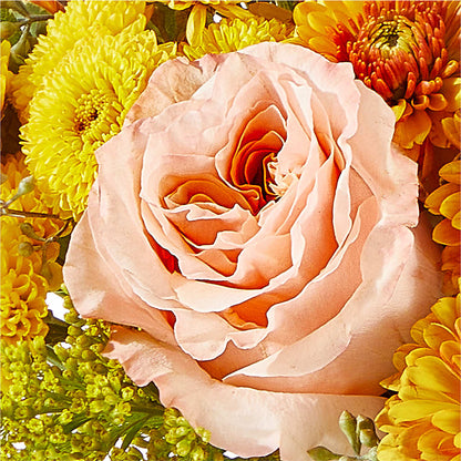 Peachy Pumpkin –  Albelos Flowers Llc, Tampa FL