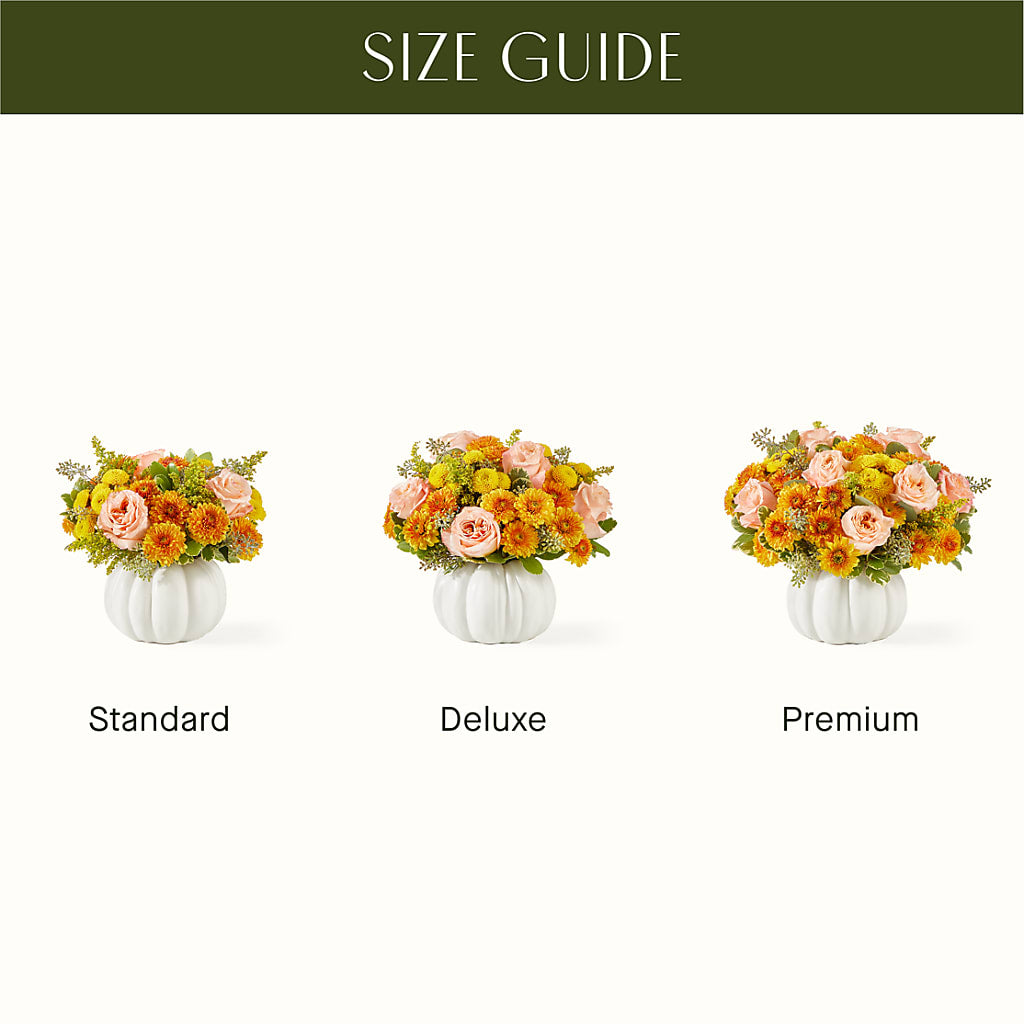 Peachy Pumpkin –  Albelos Flowers Llc, Tampa FL
