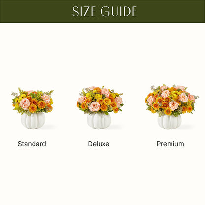 Peachy Pumpkin –  Albelos Flowers Llc, Tampa FL