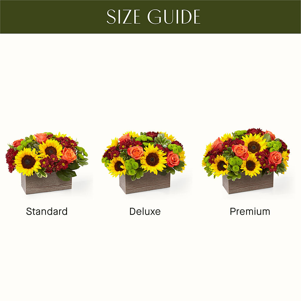 Happy Harvest Garden –  Albelos Flowers Llc, Tampa FL
