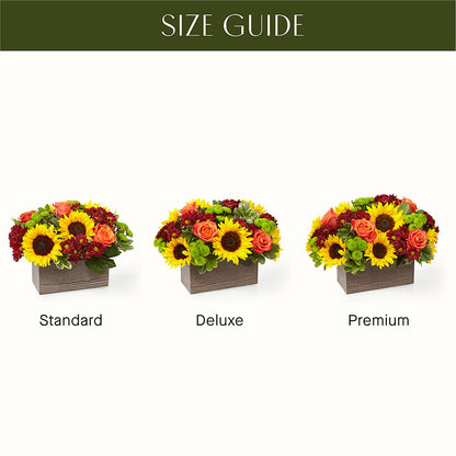 Happy Harvest Garden –  Albelos Flowers Llc, Tampa FL
