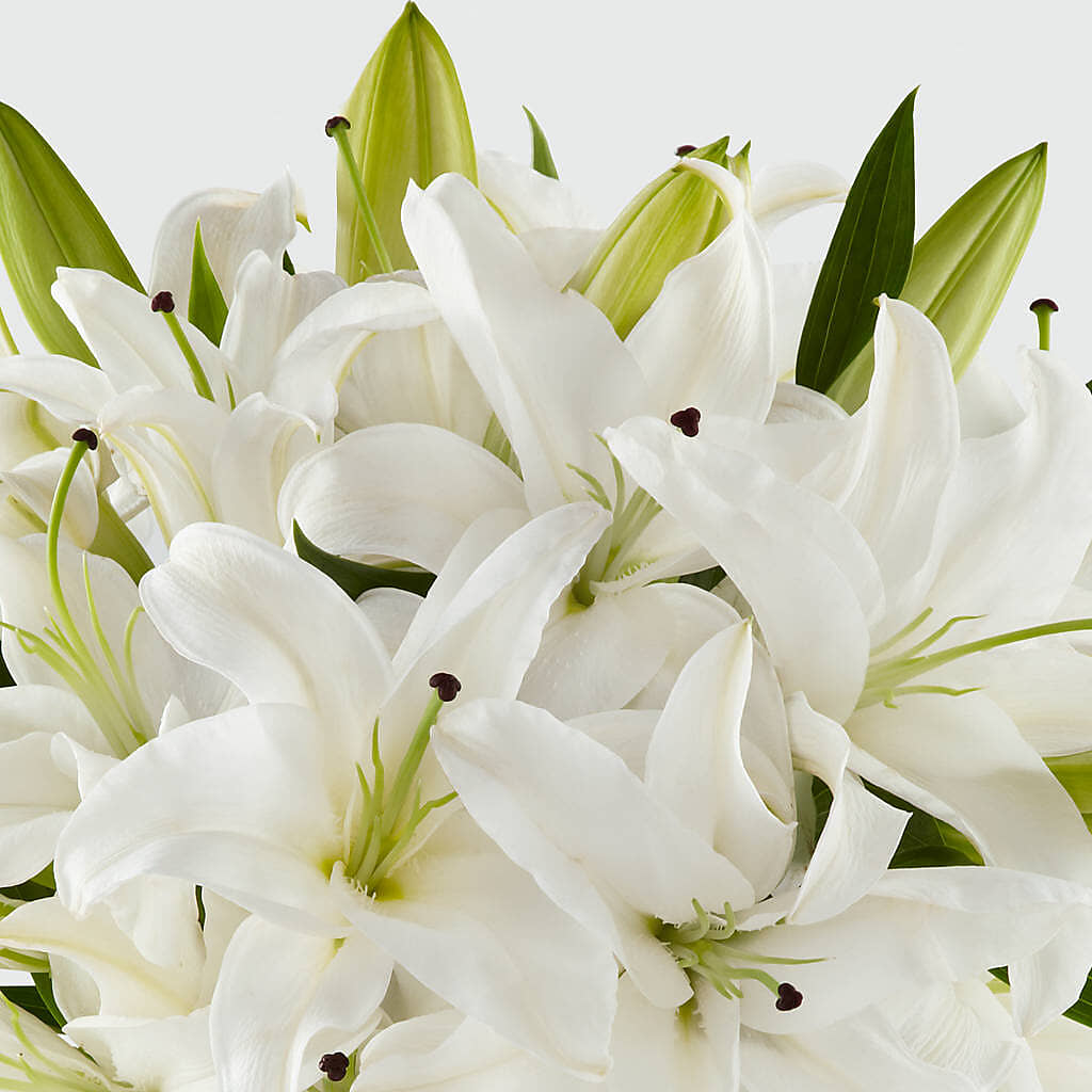 Faithful Blessings Bouquet –  Albelos Flowers Llc, Tampa FL