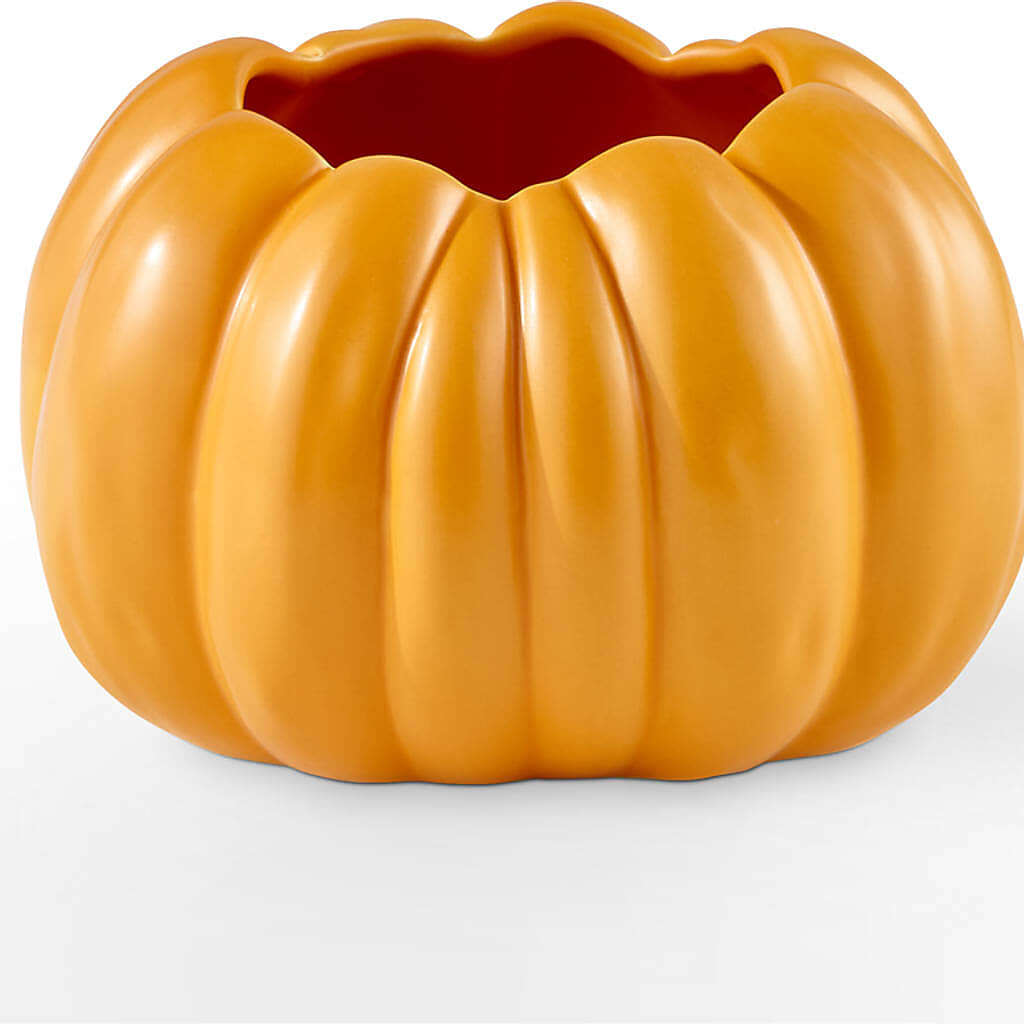 Pick of the Patch Pumpkin Bouquet –  Albelos Flowers Llc, Tampa FL