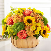 Albelo's Flowers