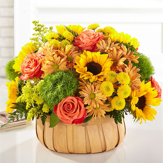 Harvest Sunflower Basket –  Albelos Flowers Llc, Tampa FL