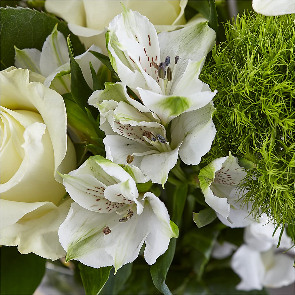 Classic Ivory – A Florist Original –  Albelos Flowers Llc, Tampa FL