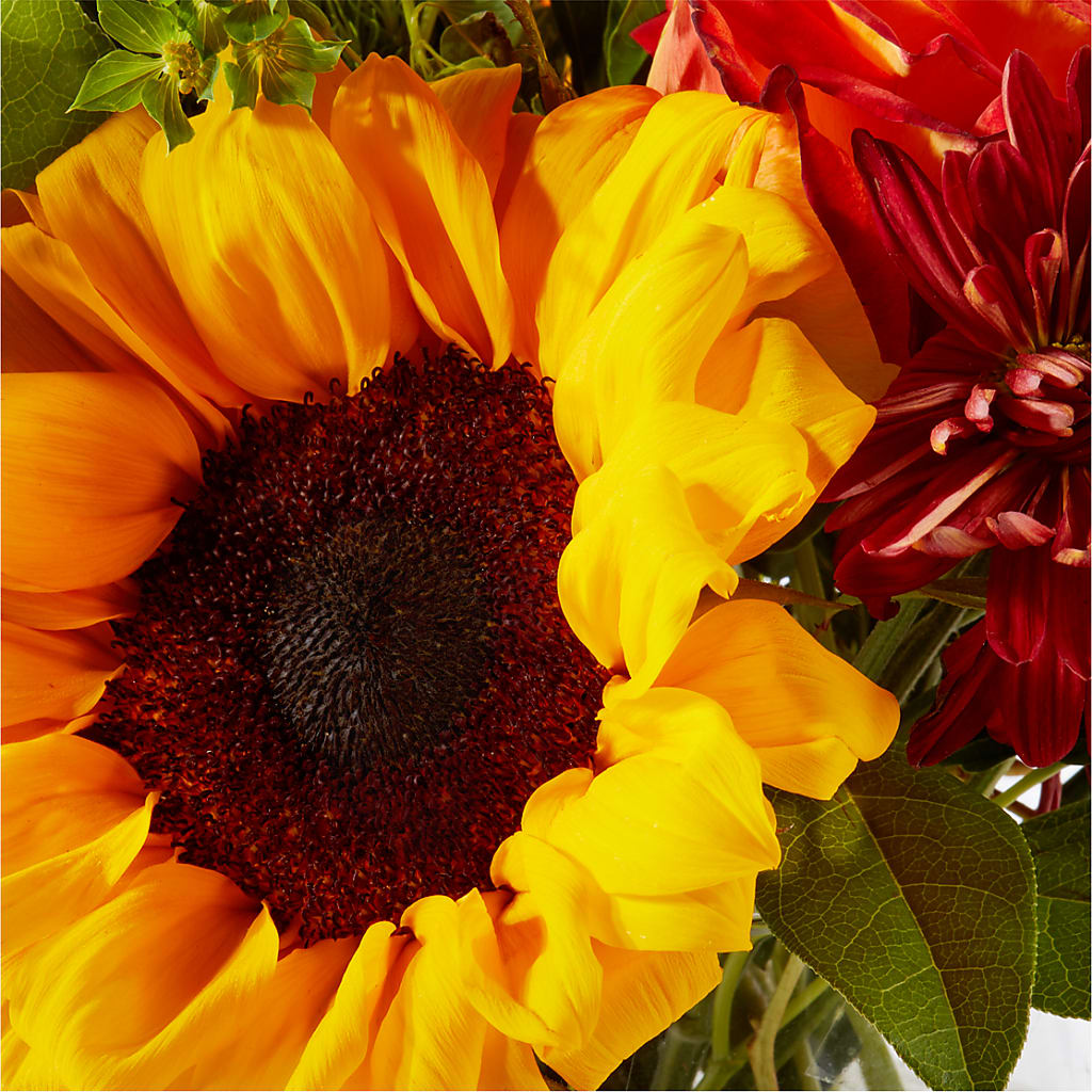 Harvest Festival Bouquet –  Albelos Flowers Llc, Tampa FL