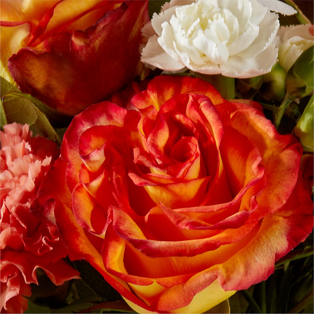 Apricot Glow Bouquet –  Albelos Flowers Llc, Tampa FL