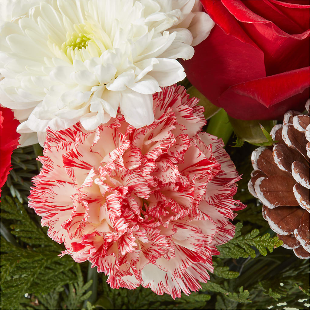 Candy Cane Lane Bouquet –  Albelos Flowers Llc, Tampa FL