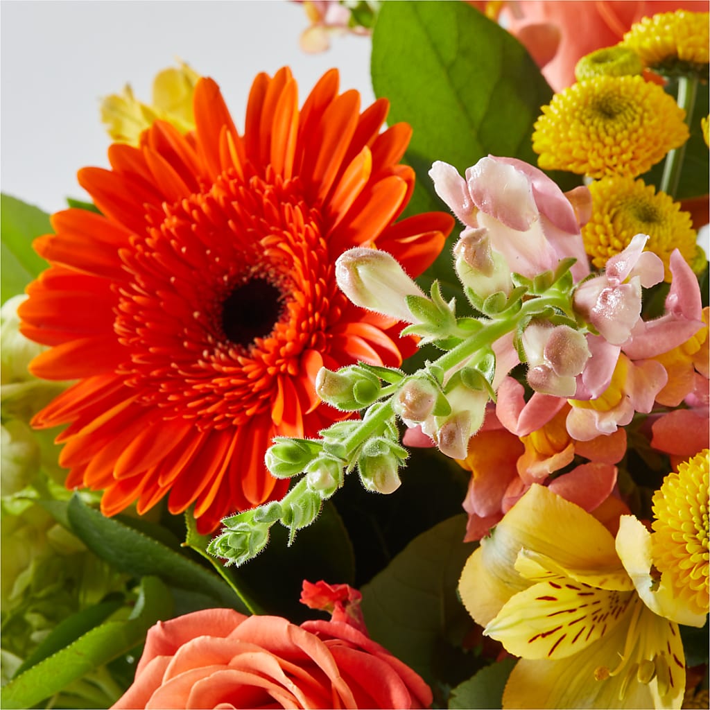 Autumn Sunshine Bouquet –  Albelos Flowers Llc, Tampa FL
