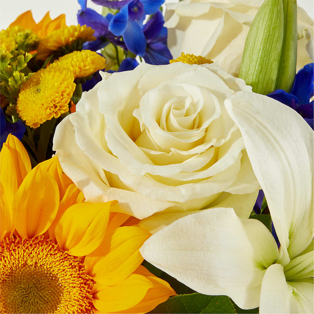 Stargazing Bouquet –  Albelos Flowers Llc, Tampa FL