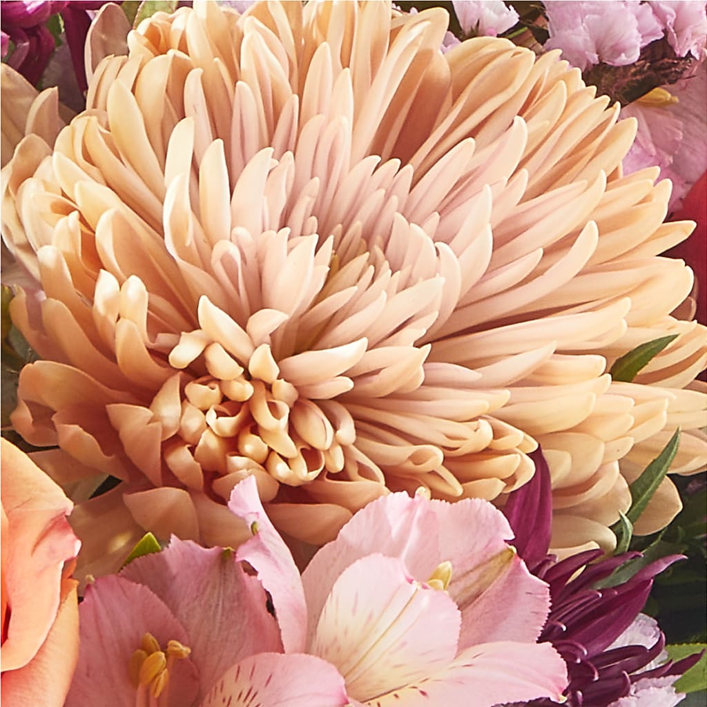 Berry Cobbler Bouquet –  Albelos Flowers Llc, Tampa FL