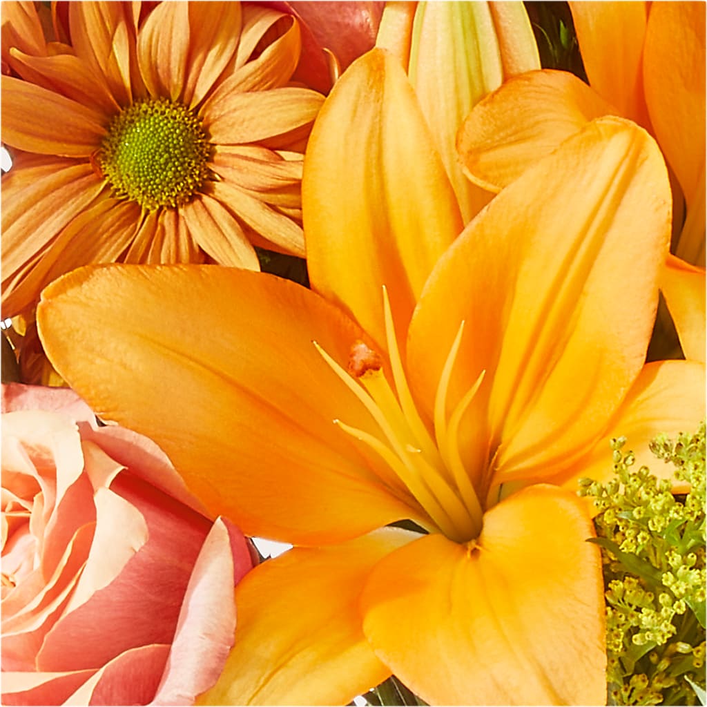 Harvest Hayride Bouquet –  Albelos Flowers Llc, Tampa FL
