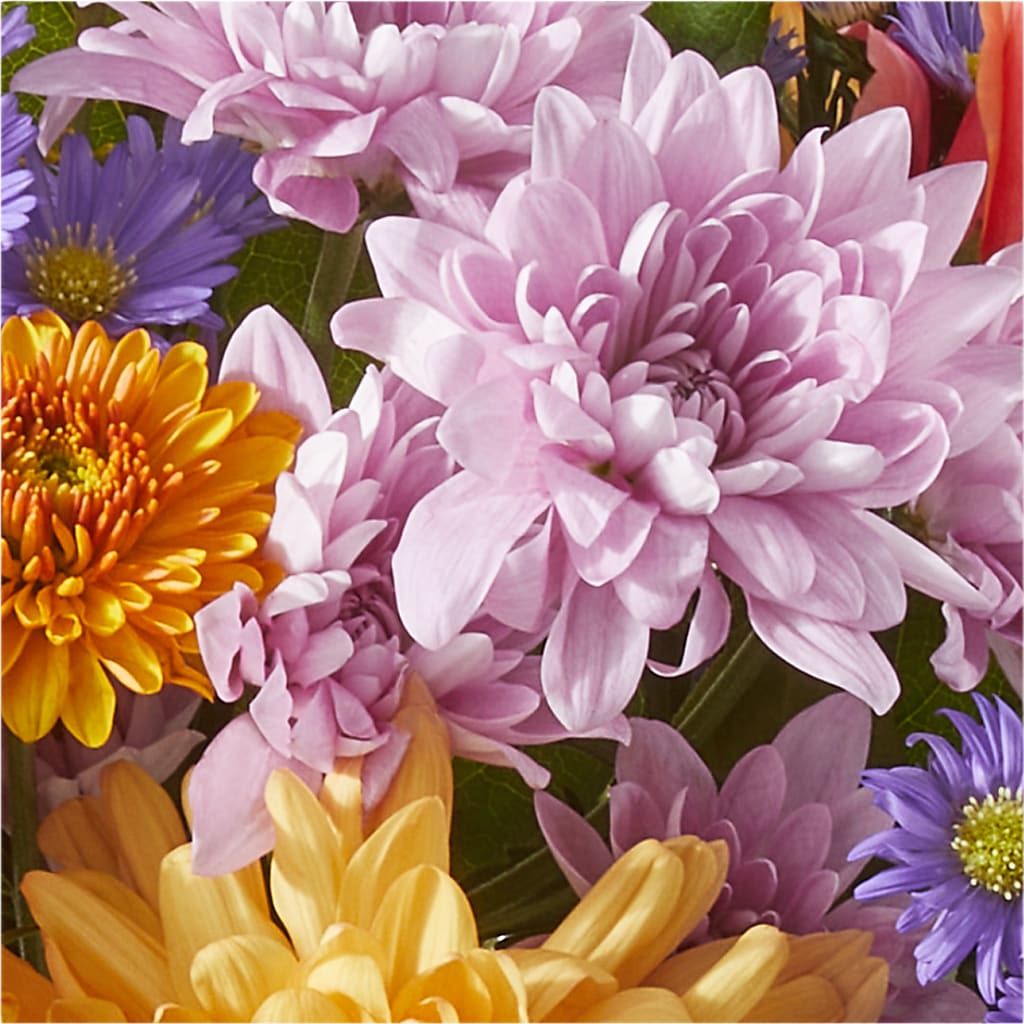 Countryside Bouquet –  Albelos Flowers Llc, Tampa FL