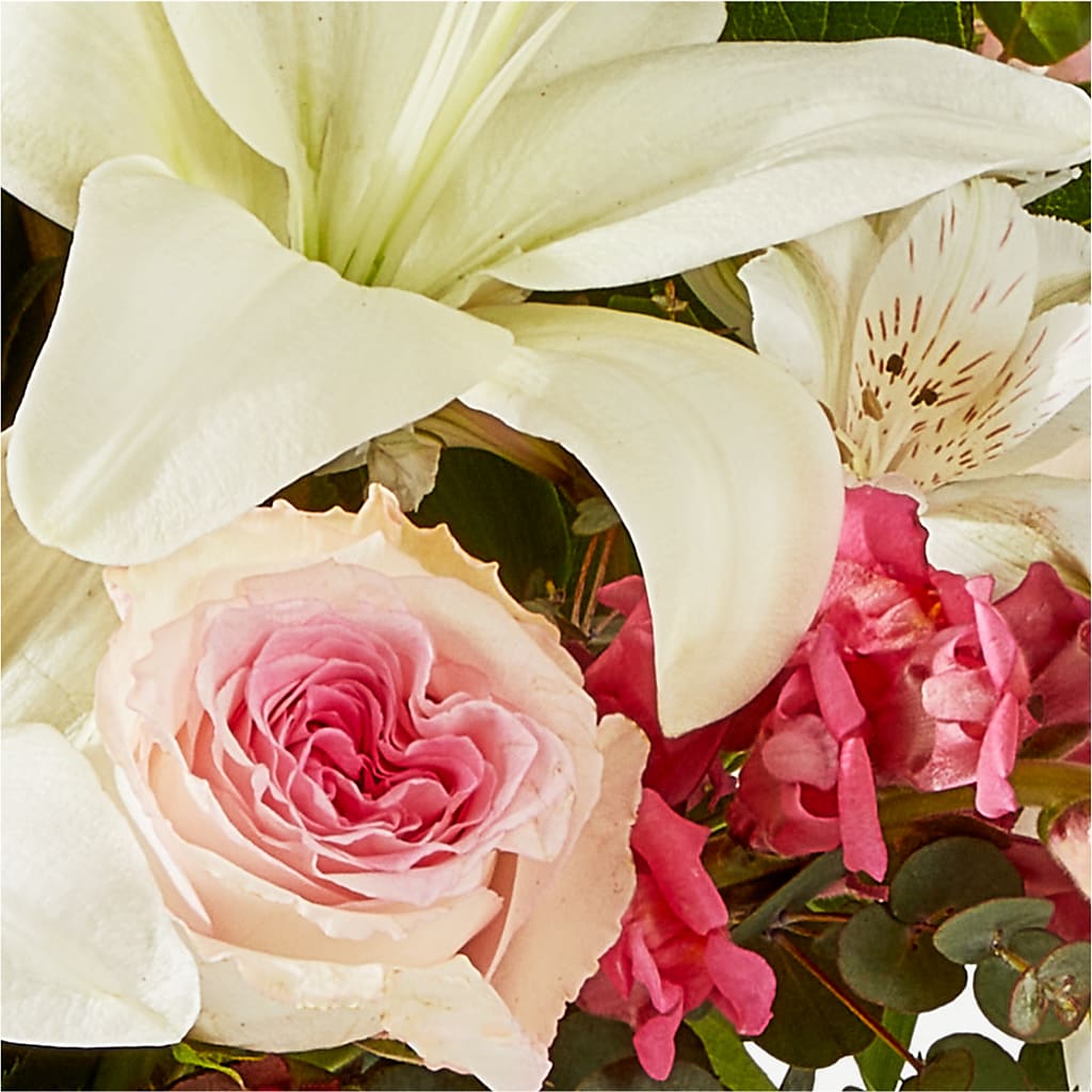 Ballet Slippers Bouquet –  Albelos Flowers Llc, Tampa FL