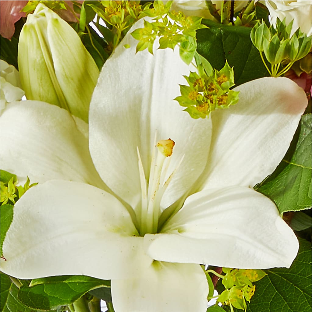Fondly Bouquet –  Albelos Flowers Llc, Tampa FL